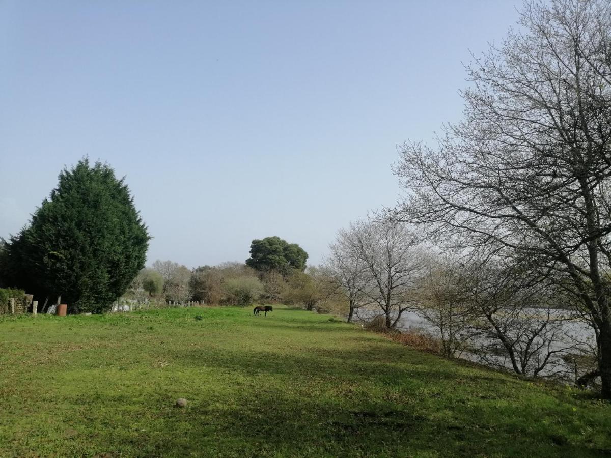 Royalheronhouse Viana do Castelo Dış mekan fotoğraf